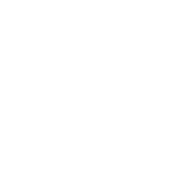 Descripción de la imagen